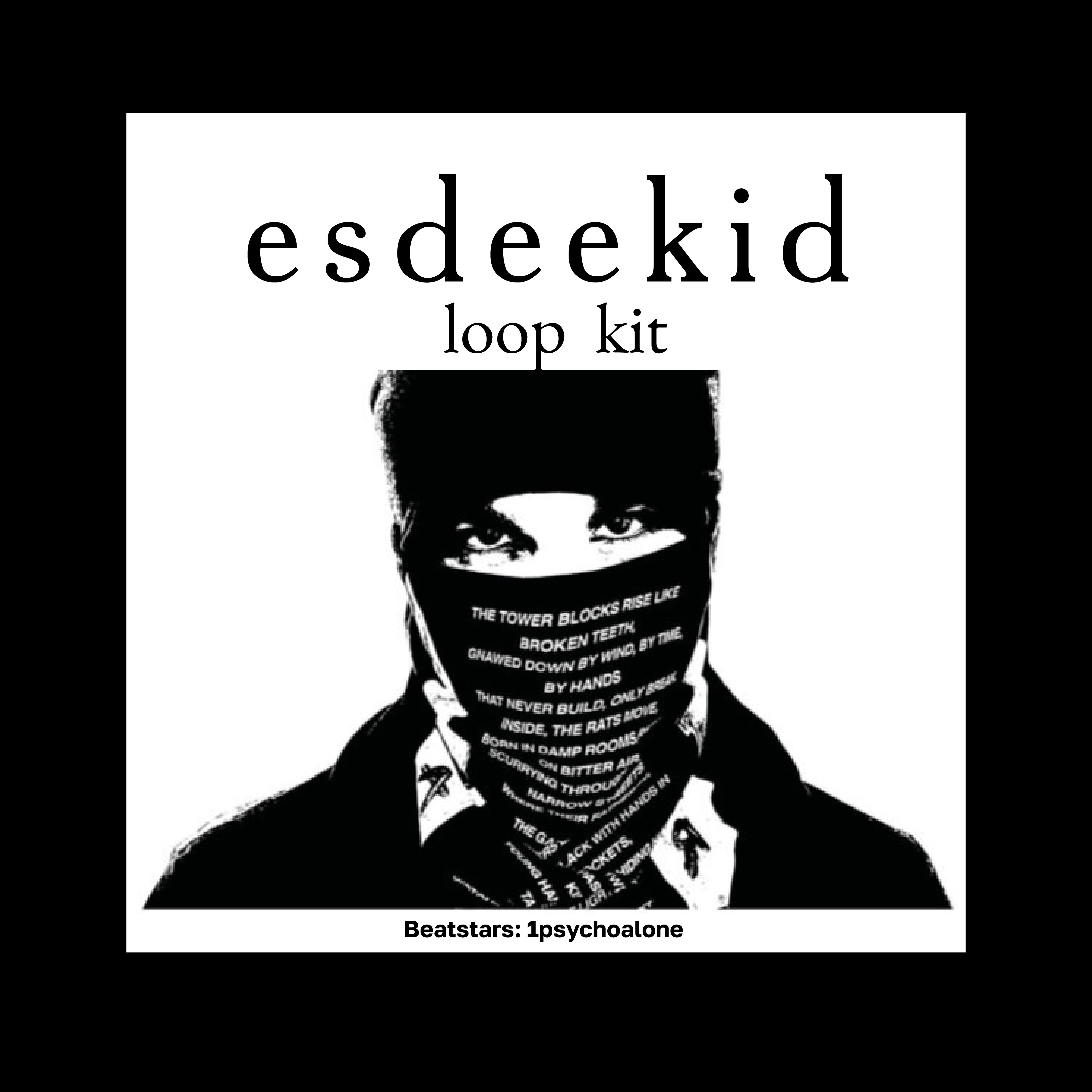 EsDeeKid loop kit cover